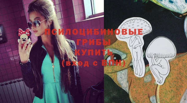 дживик Салават